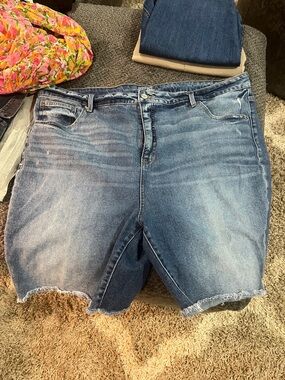 Terra & Sky Distressed Blue Denim Jean Shorts RE